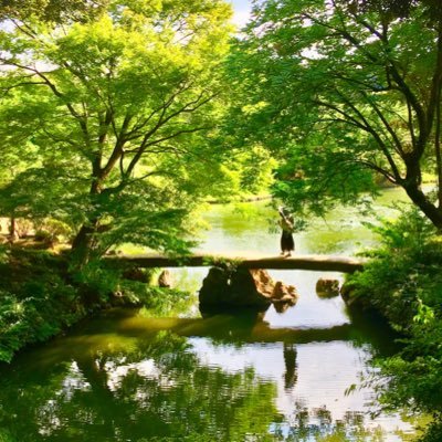 元:都内庭園&寺社めぐり。美しいもの、美味しいもの、身体と心に良いことがすき。フォロー、リムーブご自由に。日本画/花鳥画/生花/建築/古民家/美容