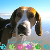 Angel Daisy (@iamdaisydoo) 's Twitter Profile Photo Angel Daisy (@iamdaisydoo) 's Twitter Profile Photo