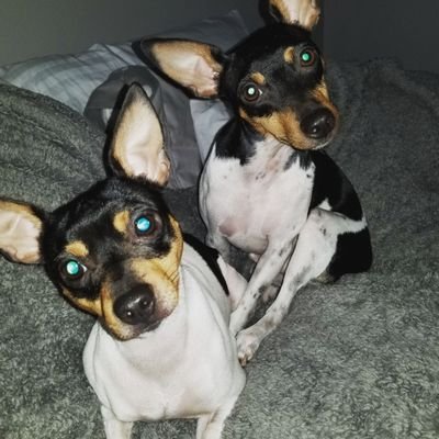 Loritz84's profile picture. 