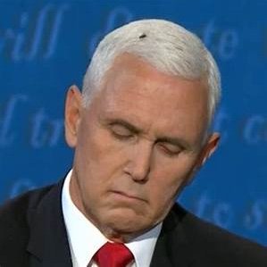 pigpence1 Profile Picture
