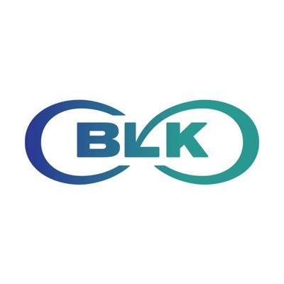 BLK Foundation Profile