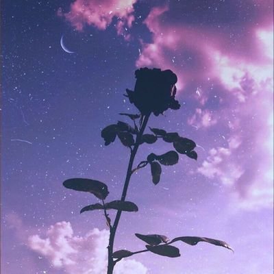 trivialesttrash's profile picture. 𝕃𝕒 𝕒𝕦𝕤𝕖𝕟𝕔𝕚𝕒 𝕖𝕤 𝕒𝕝 𝕒𝕞𝕠𝕣 𝕝𝕠 𝕢𝕦𝕖 𝕒𝕝 𝕗𝕦𝕖𝕘𝕠 𝕖𝕝 𝕒𝕚𝕣𝕖: 𝕢𝕦𝕖 𝕒𝕡𝕒𝕘𝕒 𝕒𝕝 𝕡𝕖𝕢𝕦𝕖ñ𝕠 𝕪 𝕒𝕧𝕚𝕧𝕒 𝕒𝕝 𝕘𝕣𝕒𝕟𝕕𝕖.