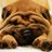 Joung Tak's Twitter (X) avatar