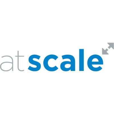 We Scale Structure - Political & Public Affairs Consulting | Operations | Organizing, Canvassing & Petitions | 📧 hello@atscale.org