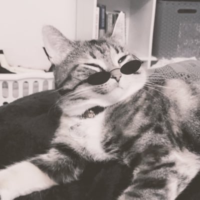 my cat has thumbs. ask me about science. CelegansScope