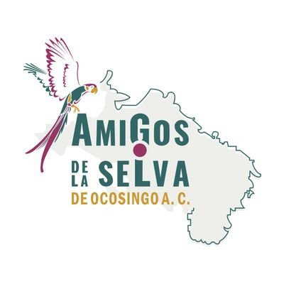 Amigos de la Selva de Ocosingo Es una Asociación Civil que se ha consolidado por hombres y mujeres