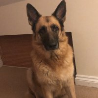 OldandveryGrey (@oldandverygrey) 's Twitter Profile