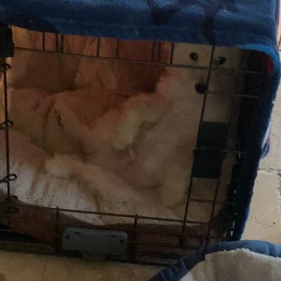 Shayajoon1's profile picture. @bugfnbr_