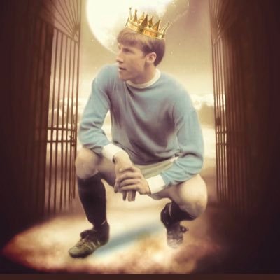 Leecuthbert101's profile picture. STELLA ARTOIS