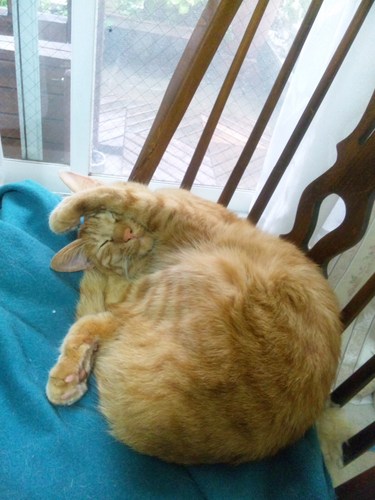 Natsumi_maman's profile picture. 関西在住のフランス語翻訳者です。得意分野は医薬と科学です。メディカル雑誌の翻訳を手がけています。環境分野にも興味があります。日本酒利き酒師の免状取得。