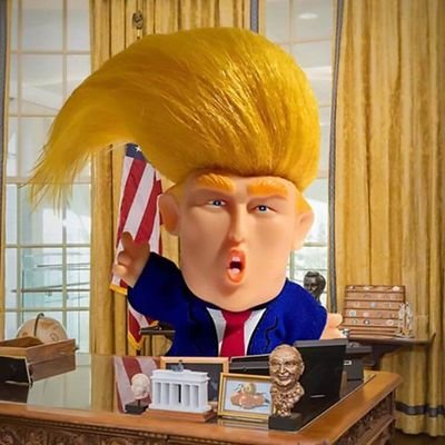 TrollTrump_'s profile picture. Troll Trump RETWEET