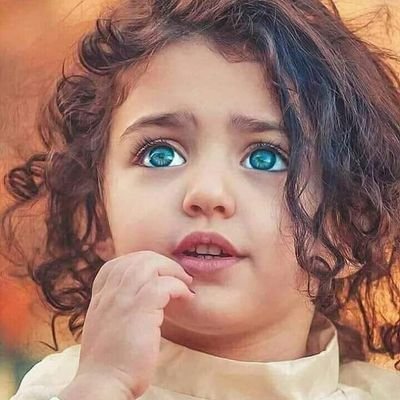 Y7n03SYrZ7nihao's profile picture. زول واعي