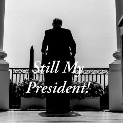 dovehome's profile picture. Seeker of Truth & Wisdom ✨ Uncovering treasures in the written word, spreading kindness (not taught enough). #SeekerOfTruth  #Wordsofwisdom #ProLife