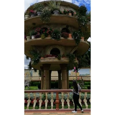 Leii_JIR's profile picture. 