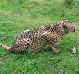 cyuuuuuuu's profile picture. 毎日の小さな気付きをつぶやきます。
某メーカー
openapi/swagger/node.js