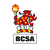 BCSA British Constructional Steelwork Association Profile Image