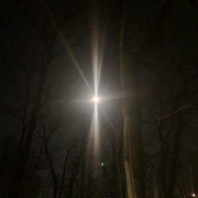 mindset369's profile picture. 太陽と太陽と太陽