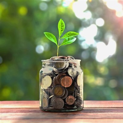 Moneyhacks9's profile picture. 