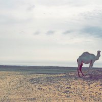 !i (@exfahoi) Twitter profile photo