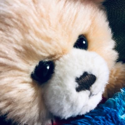 8aQA6S0cb5EGAP0's profile picture. ども！よろしくお願いします(*˙ᵕ˙ *)              緑黄色社会大好きです!!