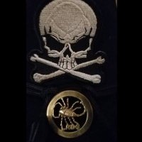 ┌∩┐(◣_◢)┌∩┐ (@eclecticrpt) 's Twitter Profile