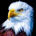 Neal Edgar ๐บ๐ธ๐ฎ๐ฑ (@neal437) Twitter profile photo Neal Edgar ๐บ๐ธ๐ฎ๐ฑ (@neal437) Twitter profile photo