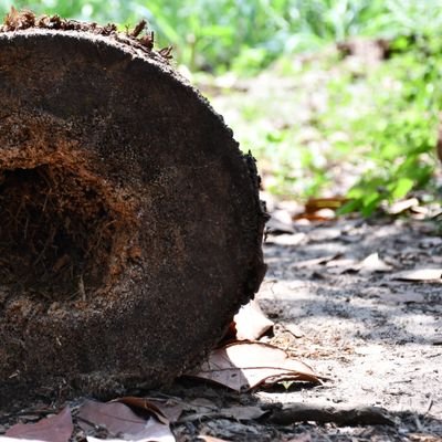 Vinod27430897's profile picture. 