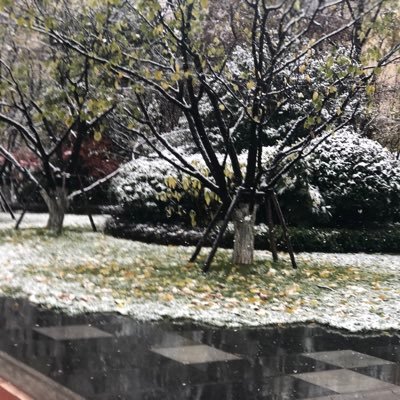 sonny32996234's profile picture. 佛系，随缘，为人谨慎，慢热029老夫妻一对，热爱各种新鲜和有趣的事物。希望能遇到合拍的夫妻，一起创造无尽的遐想空间