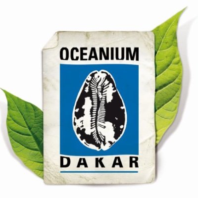 Oceaniumdedakar's profile picture. L'Oceanium est une association de protection de l'environnement, qui agît autant sur Terre comme en mer, et reconnue d'utilité publique au Sénégal depuis 1984.