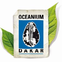 Oceanium de Dakar(@Oceaniumdedakar) 's Twitter Profileg