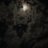 shrog3725's profile image