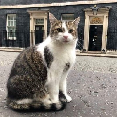 Parky1919's profile picture. 