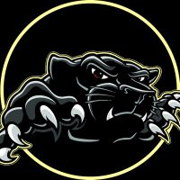 WidnesWildAcademy (@widneswildacad) 's Twitter Profile