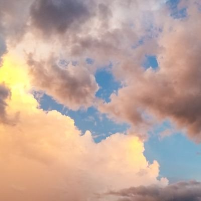 mukaiさんのプロフィール画像