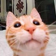 Leviathan (@leviathanrl_) 's Twitter Profile Photo Leviathan (@leviathanrl_) 's Twitter Profile Photo