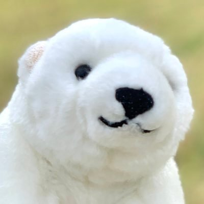 oppo_kumachan's profile picture. しろくまのくまちゃんのぬい撮り中心｜本垢@_Y4 ｜ポケGOとポケポケちょろっと｜タマザラシ推し｜RAB🍊🐉箱推し🕺