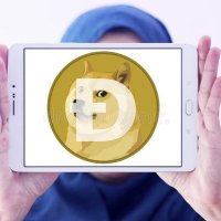 Dogecoin and Bitcoin HODL (@hodldogecoin) 's Twitter Profile Photo Dogecoin and Bitcoin HODL (@hodldogecoin) 's Twitter Profile Photo