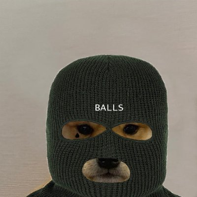 PattrikN's profile picture. 