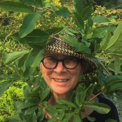 climate aware plant watcher, gardener, Rhododendron enthusiast, home cook, local food/economy advocate, once a NSMuseum curator