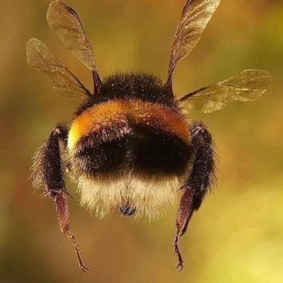 Dgarca's profile picture. Medicina, Nutrición clinica, Administración de servicios de salud.