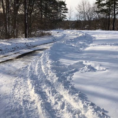 kzmccaff's profile picture. I have 1M freckles.