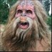 sycamore Christ is King squatch (@SquatchSycamore) Twitter profile photo