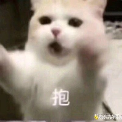 hakusai2907's profile picture. Gay，深圳 175/70 是农/牛/tker，SM都可，做M前提是要让我把脚绑起来挠 ，变态🦶🏻控，喜欢大脚肌肉男伪S，🉑约，打招呼请带照，做r不喜胖和竹节虫这里会转发很多很多tk🦶🏻和少量农牛