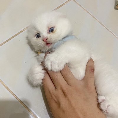 thatsmeeisna's profile picture. That’s me just me