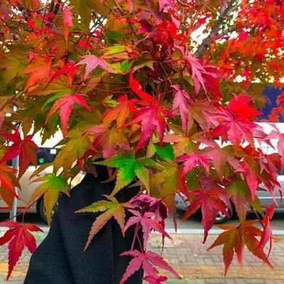 Ponam30705146's profile picture. 