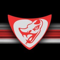 Flying Lizard Motorsports(@FlyingLizard_MS) 's Twitter Profile Photo