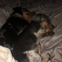 Ronnie Littles (@ronnie_littles) 's Twitter Profile Photo Ronnie Littles (@ronnie_littles) 's Twitter Profile Photo