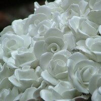 Kareemah Hamdan (@kahamdan) 's Twitter Profile