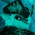 -Ghostly- (@ghostly_shark) Twitter profile photo -Ghostly- (@ghostly_shark) Twitter profile photo
