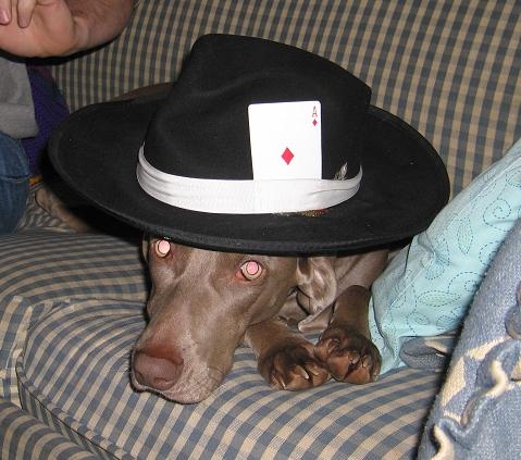 gertyrae's profile picture. 